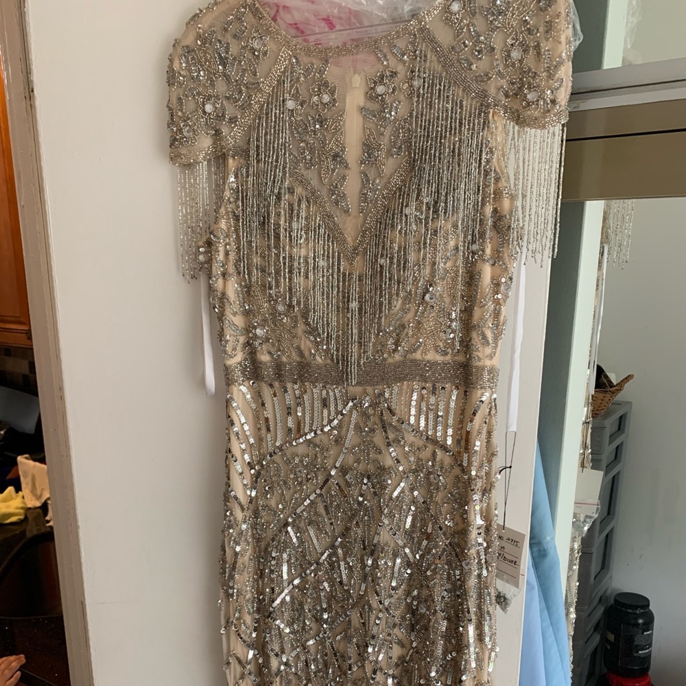 Nude and silver sequins dress brand new
